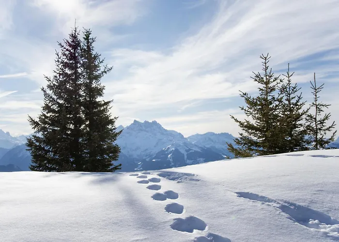 Ermitage 13 By Interhome Apartamento