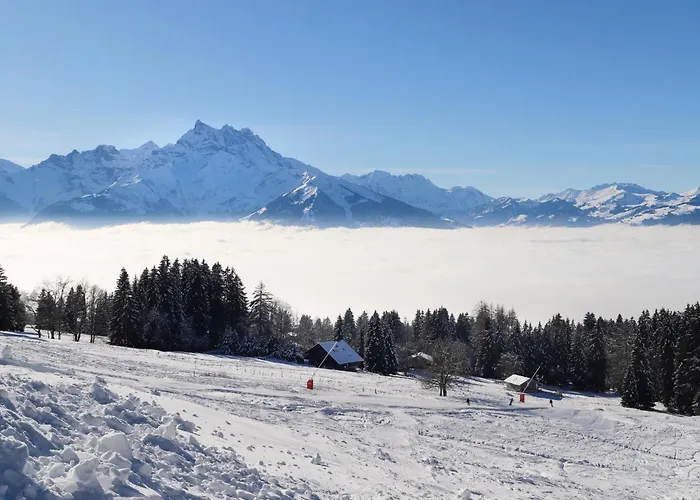 Apartment Ermitage 13 By Interhome Villars-sur-Ollon